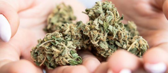 CBD