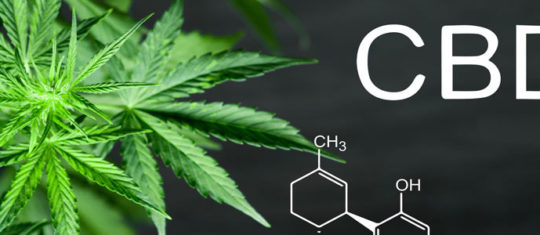 CBD