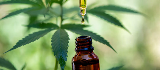 CBD